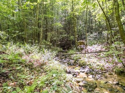 Recreational Property for sale in Raleigh County, West Virginia