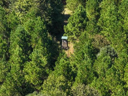 Farm Property for sale in Saline County, Arkansas