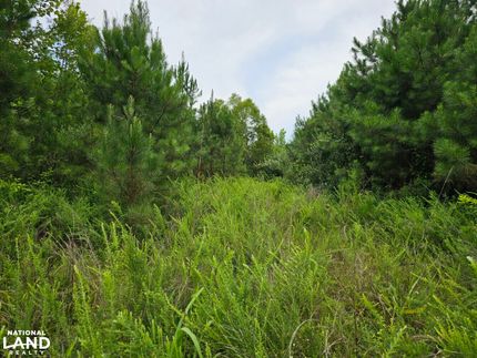 Farm Property for sale in Marion County, Alabama