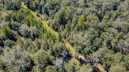 Timberland Property for sale in Union Parish, Louisiana
