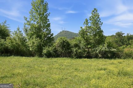 Undeveloped Land for sale in Stephens County, Georgia