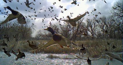 Commercial Property for sale in Morrill County, Nebraska