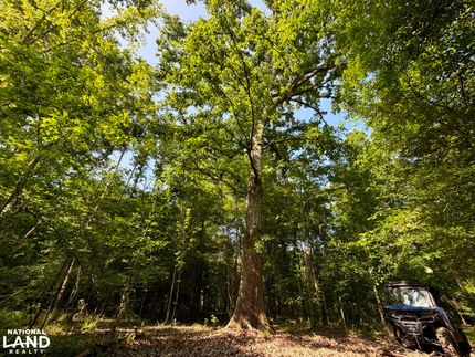 Ranch Property for sale in George County, Mississippi
