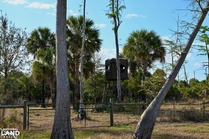 Timberland Property for sale in Collier County, Florida