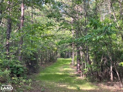 Ranch Property for sale in Kemper County, Mississippi