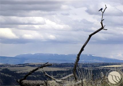 Farm Property for sale in Stillwater County, Montana
