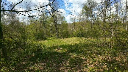 Recreational Property for sale in Noble County, Ohio