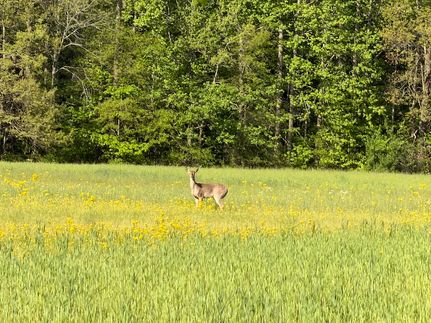 Farm Property for sale in Crawford County, Illinois