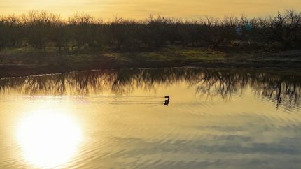 Recreational Property in Stephens County, Texas