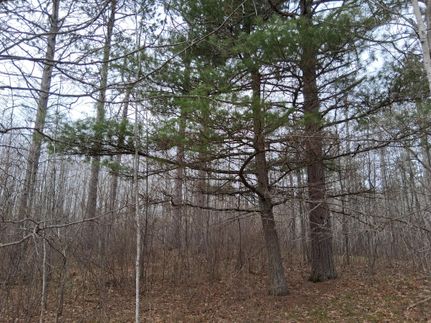 Recreational Property for sale in Oneida County, Wisconsin
