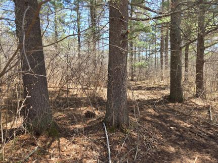 Timberland Property for sale in Oneida County, Wisconsin