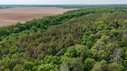 Recreational Property for sale in Ashley County, Arkansas