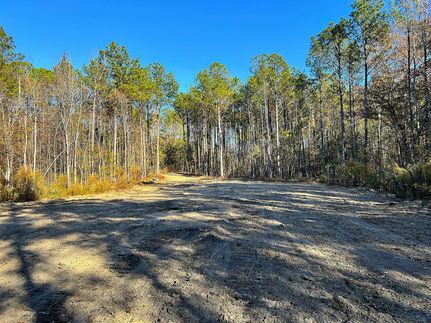 Recreational Property for sale in Elmore County, Alabama