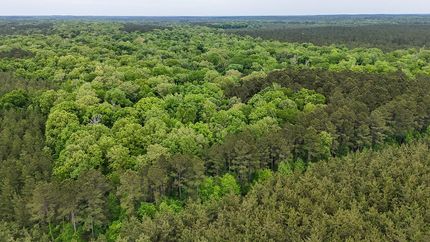Farm Property for sale in Union Parish, Louisiana