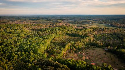 Timberland Property for sale in Louisa County, Virginia