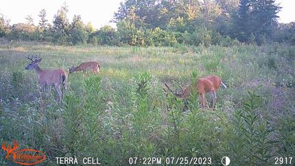Farm Property for sale in Bowie County, Texas