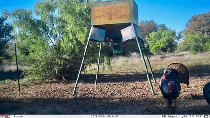 Farm Property in Mills County, Texas