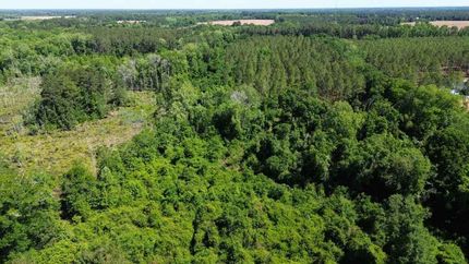 Farm Property for sale in Bulloch County, Georgia