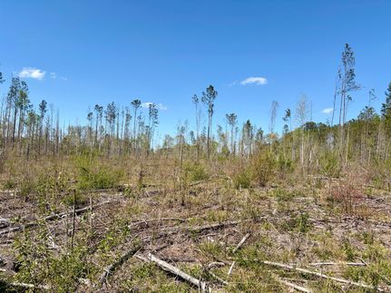 Farm Property for sale in Butler County, Alabama