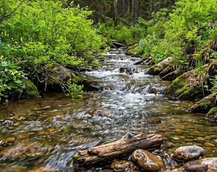 Recreational Property for sale in Boise County, Idaho