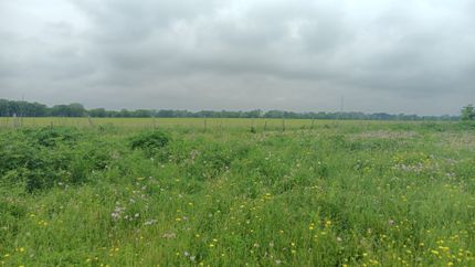 Farm Property for sale in Falls County, Texas