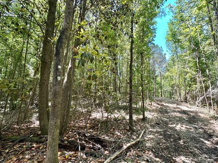 Ranch Property for sale in Simpson County, Mississippi