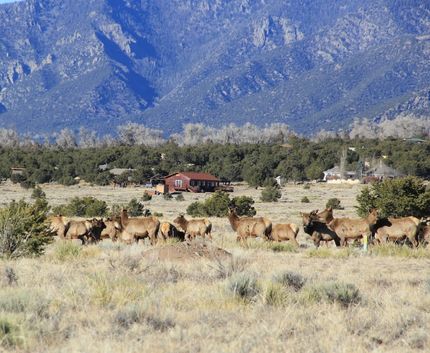 Farm Property for sale in Saguache County, Colorado