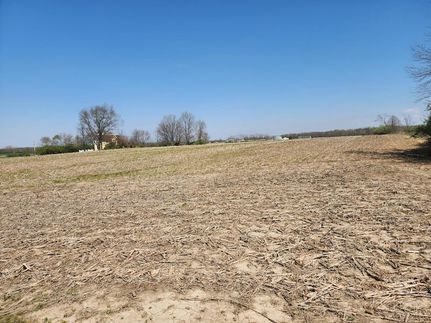 Farm Property for sale in Clinton County, Ohio
