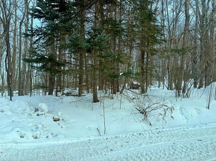 Farm Property for sale in Forest County, Wisconsin