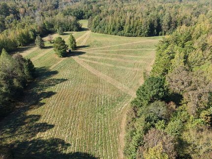Farm Property for sale in Hardeman County, Tennessee