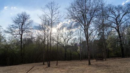 Farm Property for sale in Shelby County, Alabama