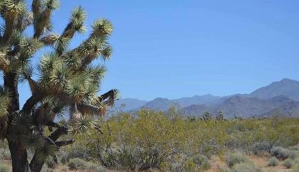 Timberland Property for sale in Mohave County, Arizona