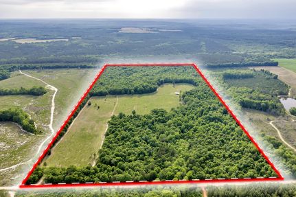 Hunting Land for sale in Randolph County, Georgia