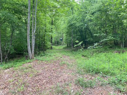 Farm Property for sale in Rutherford County, North Carolina