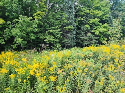 Farm Property for sale in Forest County, Wisconsin