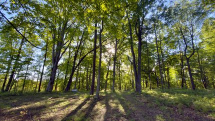 Farm Property for sale in Vinton County, Ohio