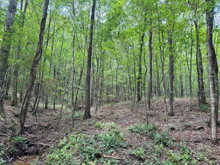 Farm Property for sale in Heard County, Georgia