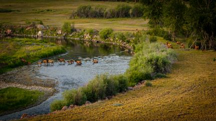Farm Property for sale in Granite County, Montana