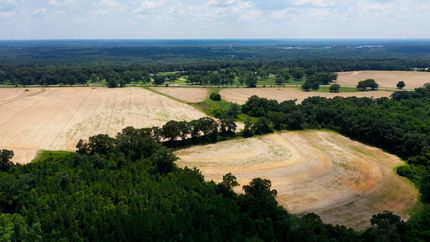 Farm Property for sale in Geneva County, Alabama