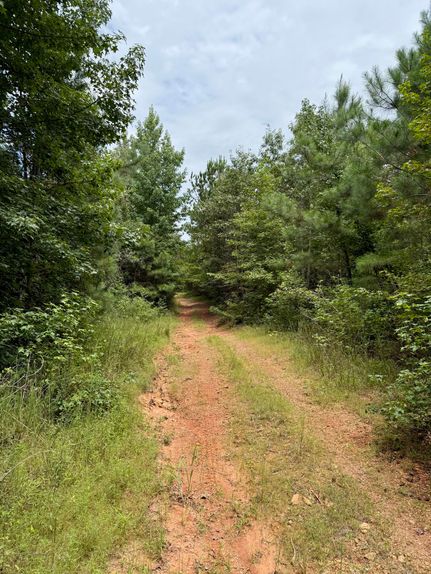 Ranch Property for sale in Cleburne County, Alabama