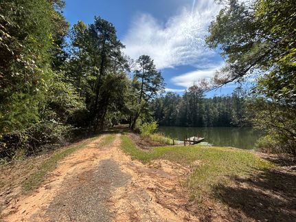 Farm Property for sale in Pike County, Alabama