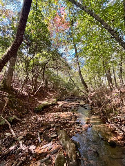 Farm Property for sale in Randolph County, Alabama