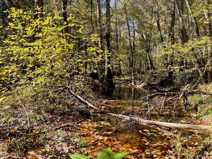 Undeveloped Land for sale in Covington County, Mississippi