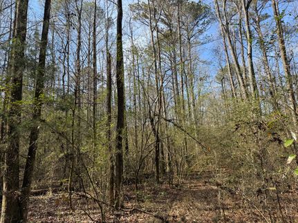 Undeveloped Land for sale in Jefferson County, Alabama