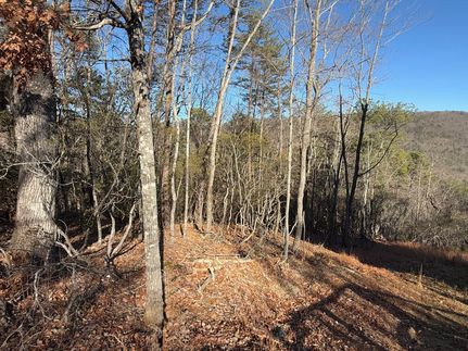 Timberland Property for sale in Clayton County, Georgia