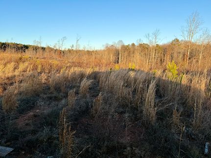 Farm Property for sale in Wilkes County, Georgia