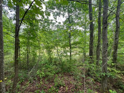 Ranch Property for sale in Coweta County, Georgia
