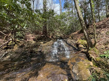Farm Property for sale in White County, Georgia