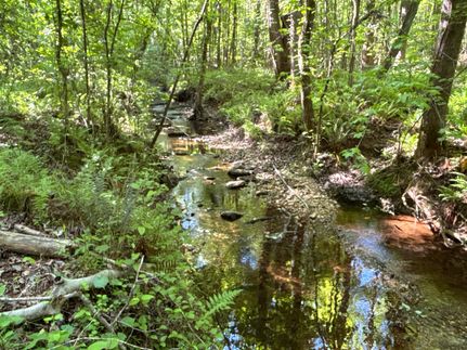 Farm Property for sale in Polk County, Georgia