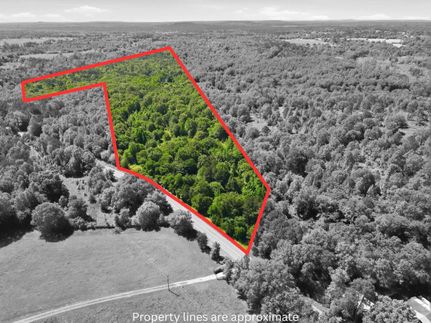 Timberland Property for sale in Camp County, Texas